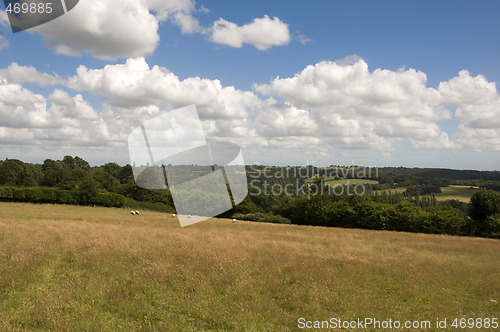 Image of Farmland