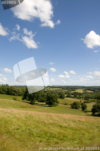 Image of Rrural scene