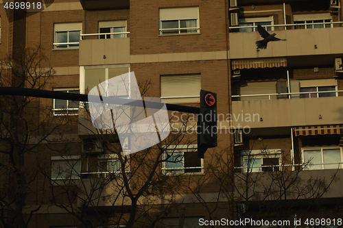 Image of Traffic light in front of a block of apartments