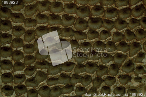 Image of Decorative plaster on a wall with honeycomb effect