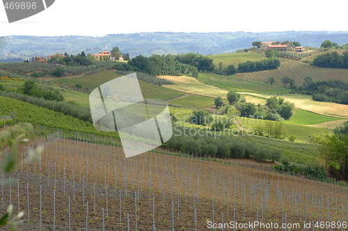 Image of Hills of Tuscany