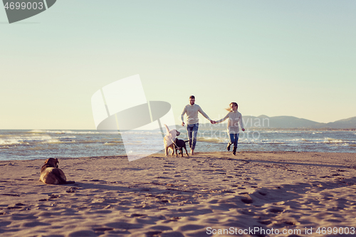 Image of couple with dog having fun on beach on autmun day