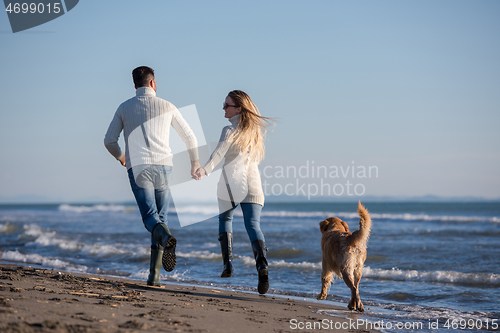 Image of couple with dog having fun on beach on autmun day