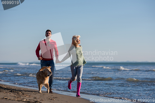 Image of couple with dog having fun on beach on autmun day