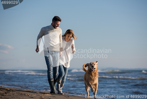 Image of couple with dog having fun on beach on autmun day