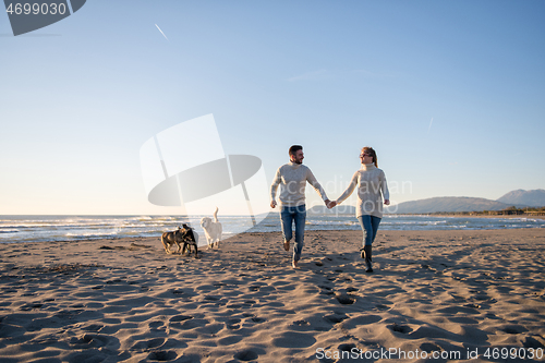 Image of couple with dog having fun on beach on autmun day