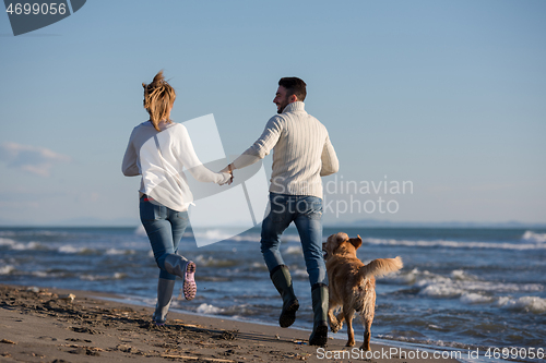 Image of couple with dog having fun on beach on autmun day