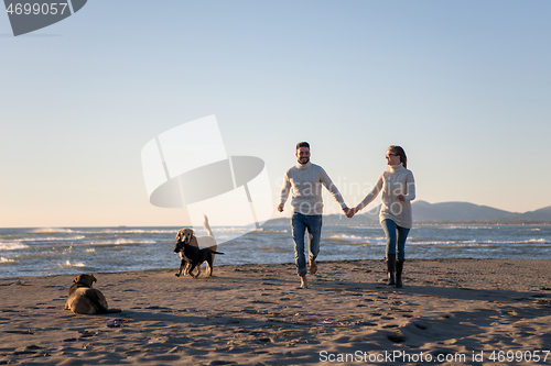 Image of couple with dog having fun on beach on autmun day