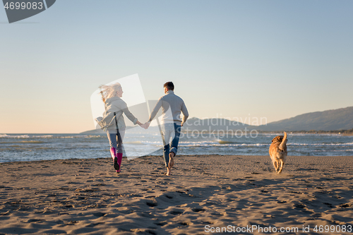 Image of couple with dog having fun on beach on autmun day