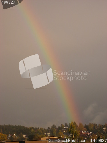 Image of Rainbow