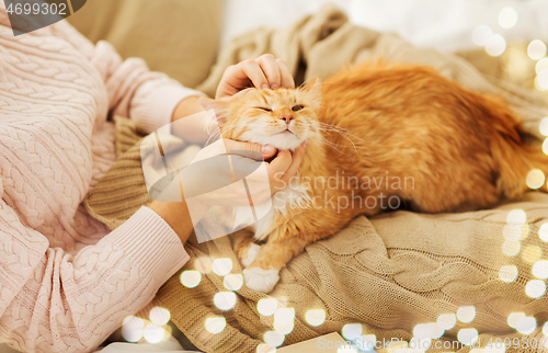 Image of close up of owner stroking red cat in bed at home