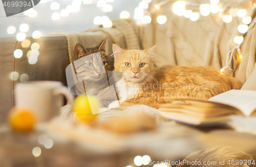 Image of two cats lying on sofa at home