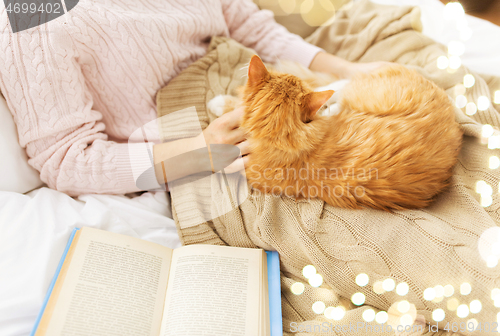 Image of close up of owner stroking red cat in bed at home