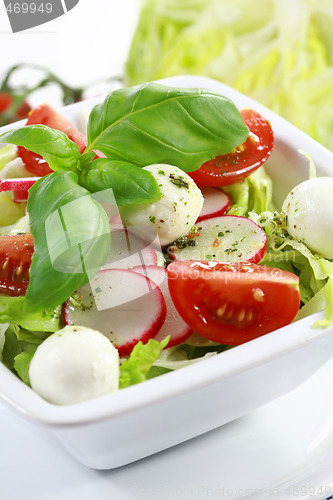 Image of Vegetable salad