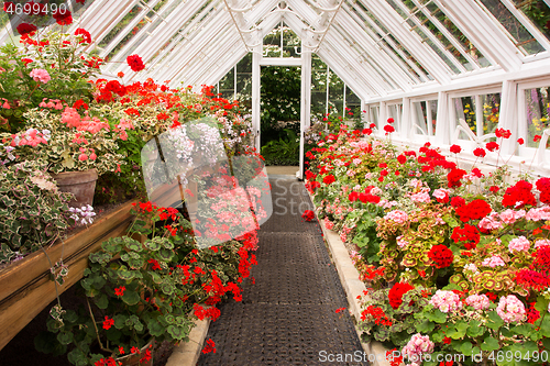 Image of Green House