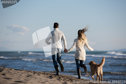 Image of couple with dog having fun on beach on autmun day