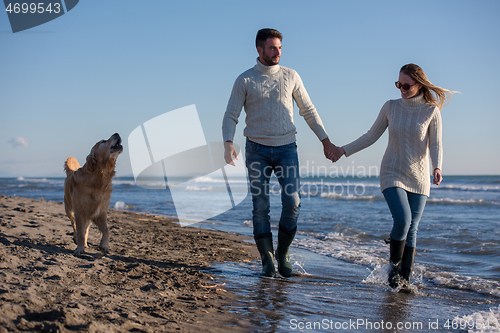 Image of couple with dog having fun on beach on autmun day