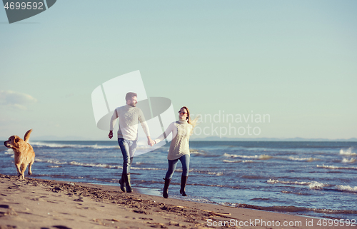 Image of couple with dog having fun on beach on autmun day