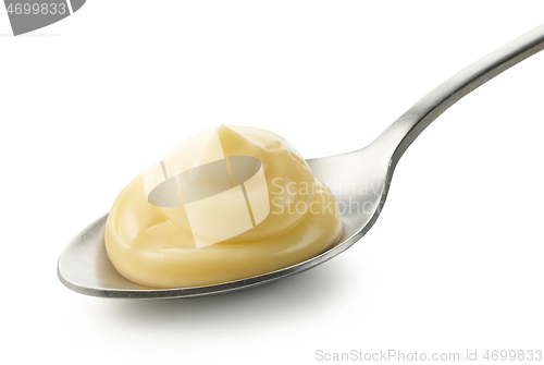 Image of spoon of mayonnaise