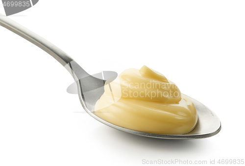 Image of spoon of mayonnaise