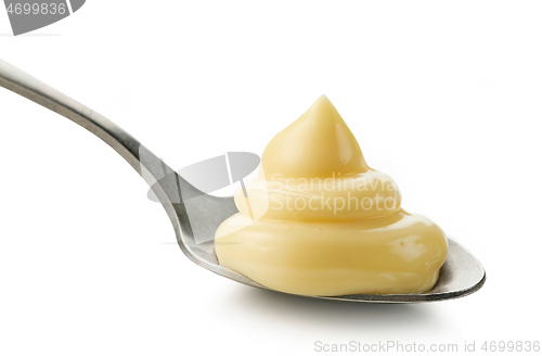 Image of spoon of mayonnaise