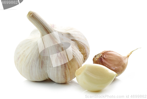 Image of natural organic garlic