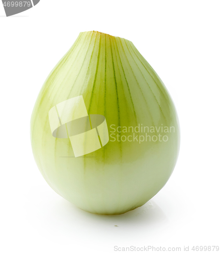 Image of fresh raw peeled onion