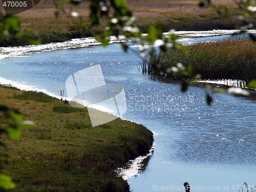 Image of s-curve waterway through grassy wet land sparkling water