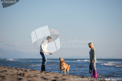 Image of couple with dog having fun on beach on autmun day