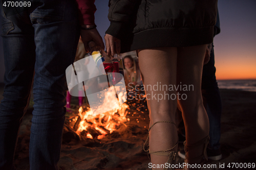 Image of Friends having fun at beach on autumn day