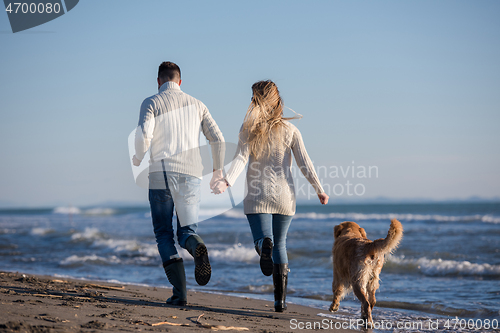 Image of couple with dog having fun on beach on autmun day