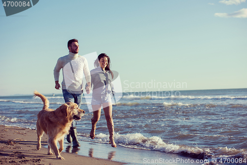 Image of couple with dog having fun on beach on autmun day