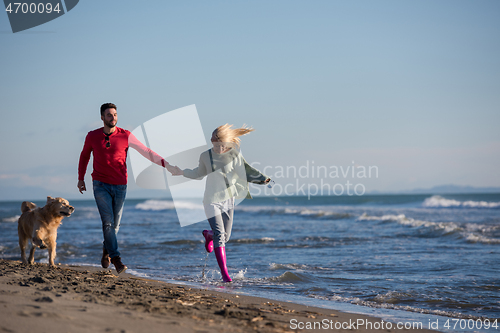 Image of couple with dog having fun on beach on autmun day