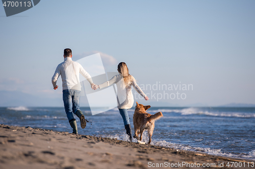 Image of couple with dog having fun on beach on autmun day