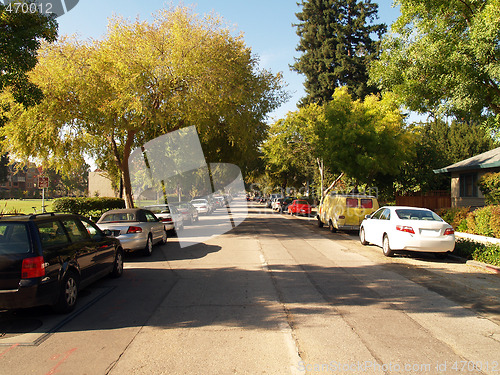 Image of tree covered street in morning light with cars