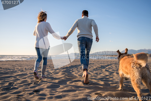 Image of couple with dog having fun on beach on autmun day