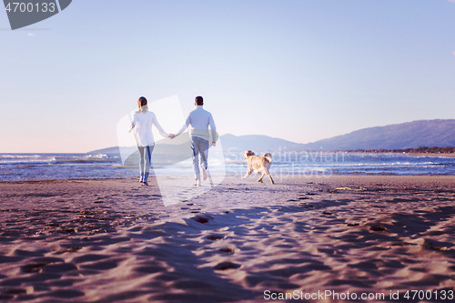 Image of couple with dog having fun on beach on autmun day