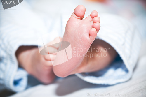 Image of Newborn baby feet