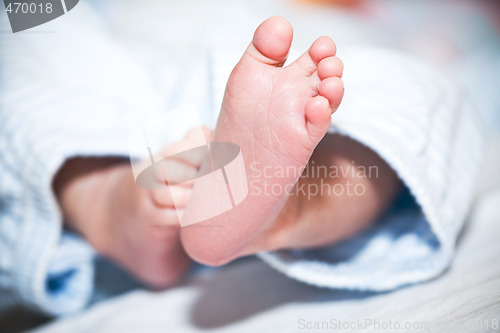 Image of Newborn baby feet