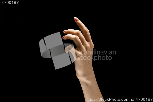 Image of Female hand demonstrating a gesture of getting touch isolated on gray background