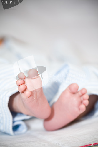 Image of Newborn baby feet