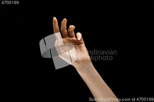 Image of Female hand demonstrating a gesture of getting touch isolated on gray background