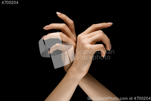 Image of Male and female hands demonstrating a gesture of getting touch isolated on gray background