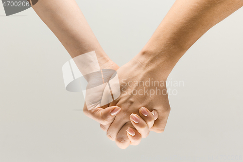 Image of  loseup shot of human holding hands isolated on grey studio background.