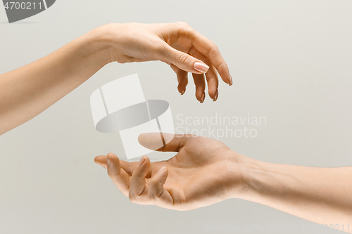 Image of Male and female hands demonstrating a gesture of getting touch isolated on gray background