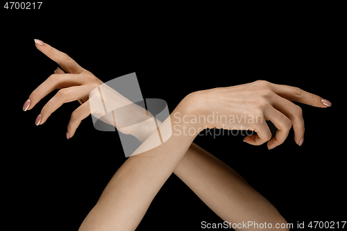 Image of Male and female hands demonstrating a gesture of getting touch isolated on gray background
