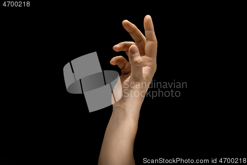 Image of Male hand demonstrating a gesture of getting touch isolated on gray background