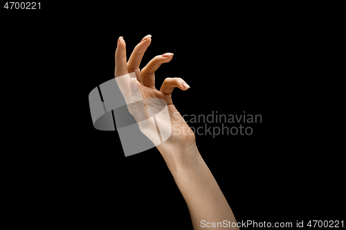 Image of Female hand demonstrating a gesture of getting touch isolated on gray background