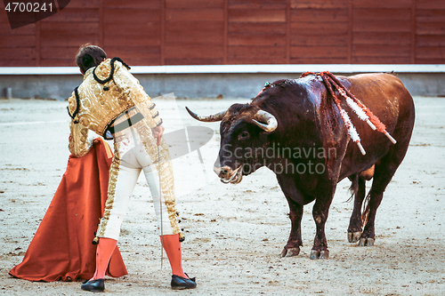 Image of Traditional corrida, bullfighting in spain. Bulfighting has been prohibited in Catalunia since 2011 for animal torturing.