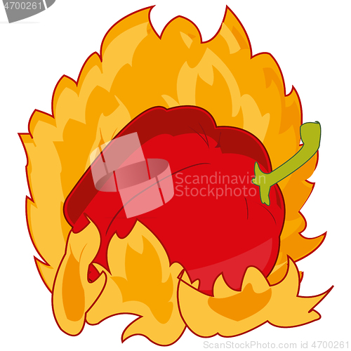 Image of Burning pepper on white background is insulated